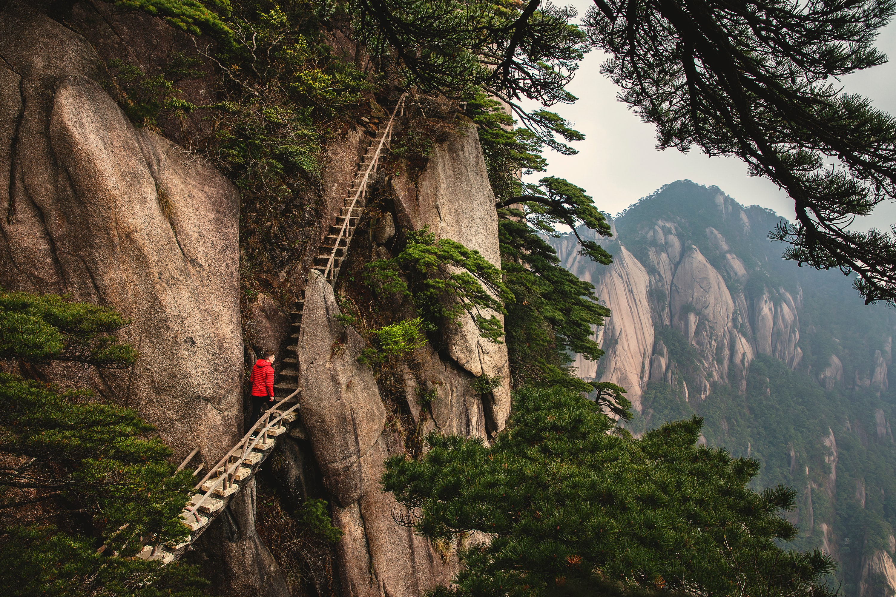 joshua-earle-UKBkp-ubSws-unsplash